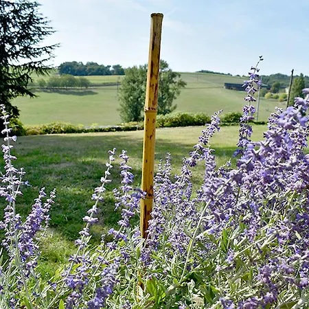 Tatil Evi Manoir Beaulieu Salles-Lavalette