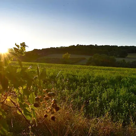 Tatil Evi Manoir Beaulieu Salles-Lavalette